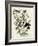 Rose Breasted Grosbeak-null-Framed Giclee Print