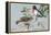 Rose-Breasted Grosbeaks-null-Framed Stretched Canvas