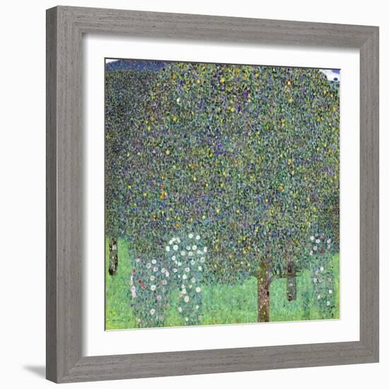 Rose Bushes under the Trees, C. 1905-Gustav Klimt-Framed Giclee Print