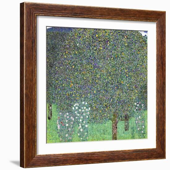 Rose Bushes under the Trees, C. 1905-Gustav Klimt-Framed Giclee Print