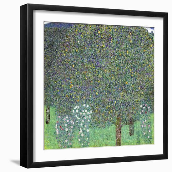 Rose Bushes under the Trees, C. 1905-Gustav Klimt-Framed Giclee Print