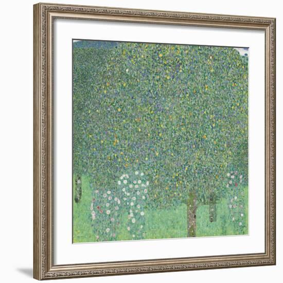 Rose Bushes Under the Trees-Gustav Klimt-Framed Premium Giclee Print