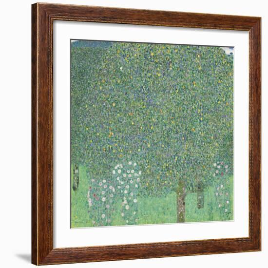 Rose Bushes Under the Trees-Gustav Klimt-Framed Premium Giclee Print