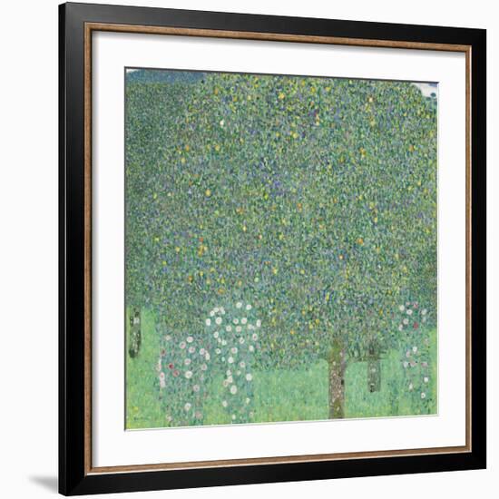 Rose Bushes Under the Trees-Gustav Klimt-Framed Premium Giclee Print