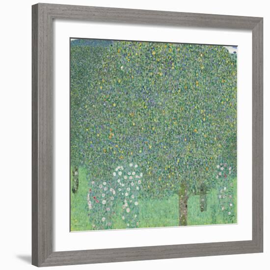 Rose Bushes Under the Trees-Gustav Klimt-Framed Premium Giclee Print