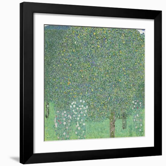 Rose Bushes Under the Trees-Gustav Klimt-Framed Premium Giclee Print