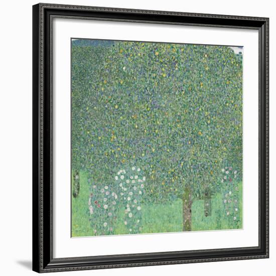 Rose Bushes Under the Trees-Gustav Klimt-Framed Premium Giclee Print