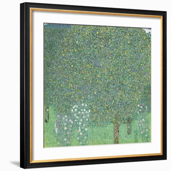 Rose Bushes Under the Trees-Gustav Klimt-Framed Premium Giclee Print