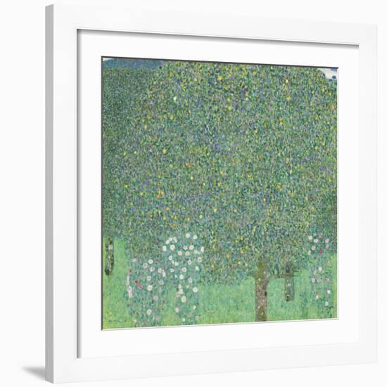 Rose Bushes Under the Trees-Gustav Klimt-Framed Premium Giclee Print