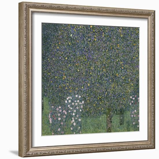 Rose Bushes Under Trees, c.1905-Gustav Klimt-Framed Giclee Print