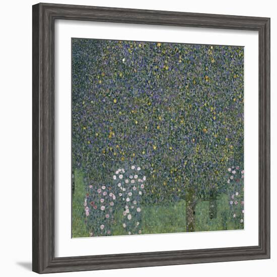 Rose Bushes Under Trees, c.1905-Gustav Klimt-Framed Giclee Print