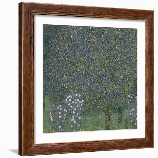 Rose Bushes Under Trees, c.1905-Gustav Klimt-Framed Giclee Print