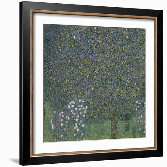 Rose Bushes Under Trees, c.1905-Gustav Klimt-Framed Giclee Print