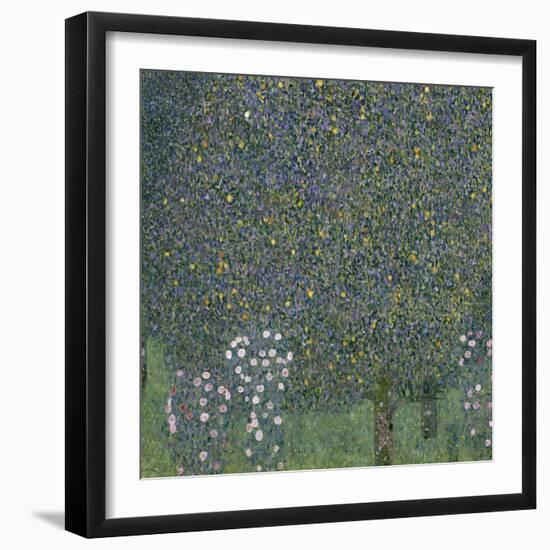 Rose Bushes Under Trees, c.1905-Gustav Klimt-Framed Giclee Print