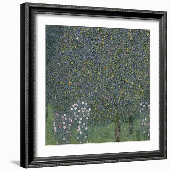 Rose Bushes Under Trees, c.1905-Gustav Klimt-Framed Giclee Print