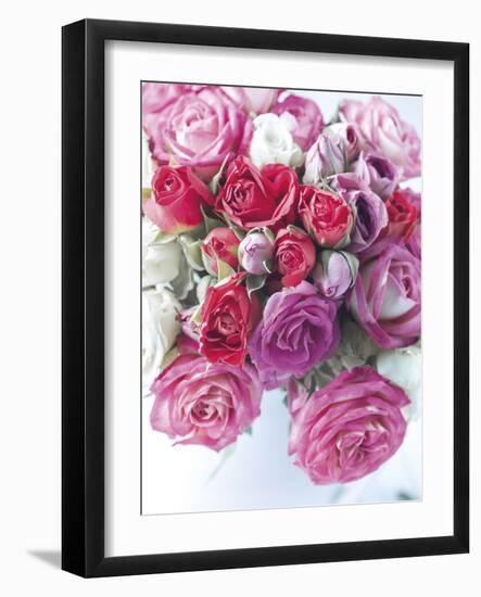 Rose Cascade-Assaf Frank-Framed Giclee Print