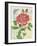 Rose Collage-Pamela Gladding-Framed Art Print