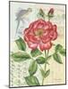 Rose Collage-Pamela Gladding-Mounted Art Print