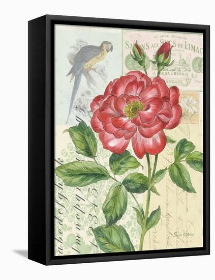 Rose Collage-Pamela Gladding-Framed Stretched Canvas