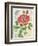 Rose Collage-Pamela Gladding-Framed Art Print