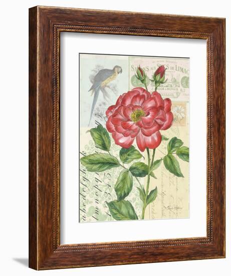 Rose Collage-Pamela Gladding-Framed Art Print