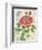 Rose Collage-Pamela Gladding-Framed Art Print