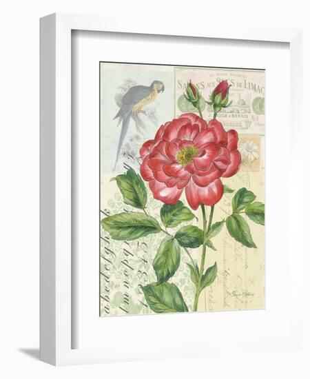 Rose Collage-Pamela Gladding-Framed Art Print