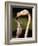 Rose coloured flamingo feeding fledgling-Herbert Kehrer-Framed Photographic Print