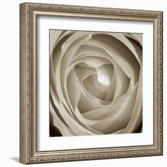 Rose Dawn II-Renee W. Stramel-Framed Art Print