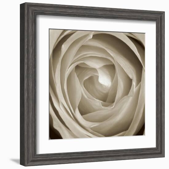 Rose Dawn II-Renee W. Stramel-Framed Art Print