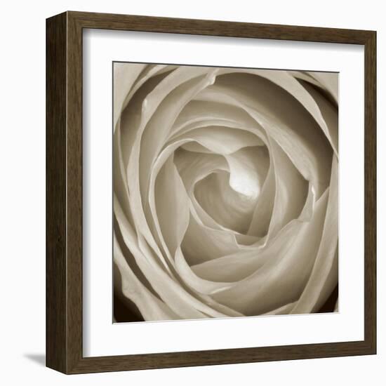 Rose Dawn II-Renee W. Stramel-Framed Art Print