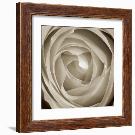 Rose Dawn II-Renee W. Stramel-Framed Art Print