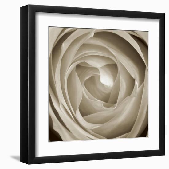 Rose Dawn II-Renee W. Stramel-Framed Art Print