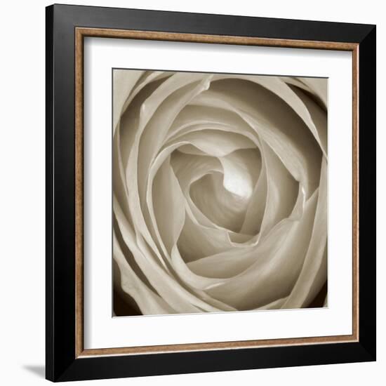 Rose Dawn II-Renee W. Stramel-Framed Art Print