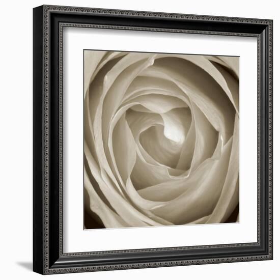Rose Dawn II-Renee W. Stramel-Framed Art Print