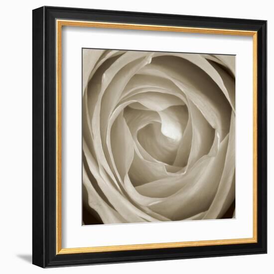 Rose Dawn II-Renee W. Stramel-Framed Art Print