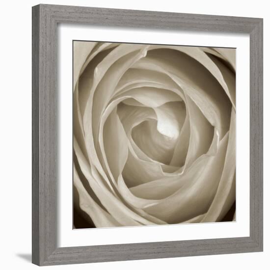 Rose Dawn II-Renee W. Stramel-Framed Art Print