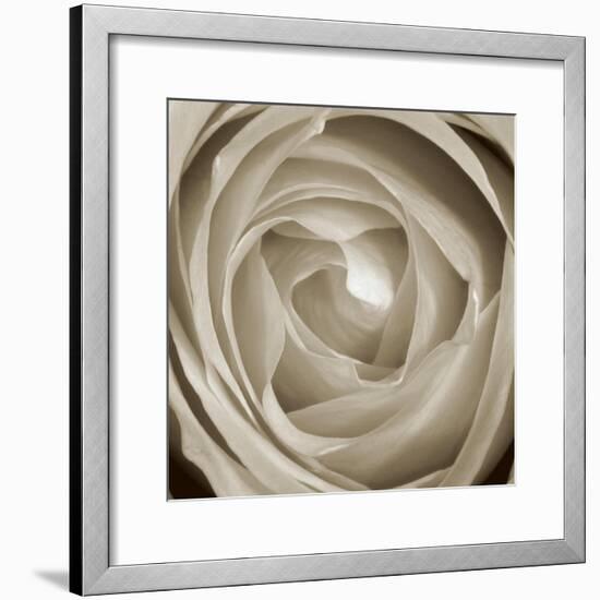 Rose Dawn II-Renee W. Stramel-Framed Art Print