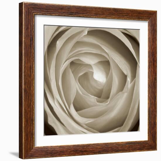 Rose Dawn II-Renee W. Stramel-Framed Art Print