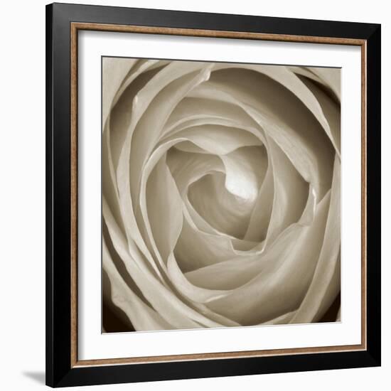 Rose Dawn II-Renee W. Stramel-Framed Art Print