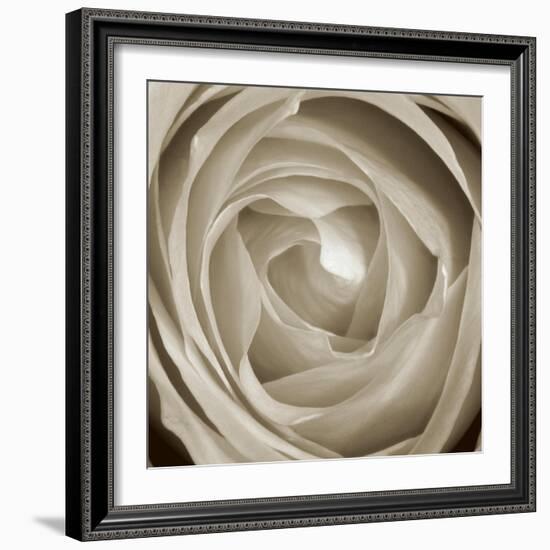 Rose Dawn II-Renee W. Stramel-Framed Art Print