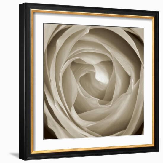 Rose Dawn II-Renee W. Stramel-Framed Art Print