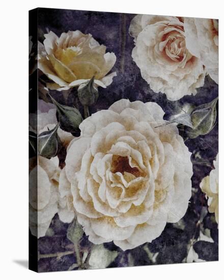 Rose Dream II-Collezione Botanica-Framed Stretched Canvas