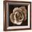 Rose - Duotone-Katano Nicole-Framed Photo