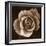 Rose - Duotone-Katano Nicole-Framed Photo