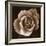 Rose - Duotone-Katano Nicole-Framed Photo