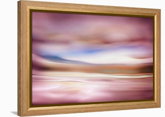 Rose Evening-Ursula Abresch-Framed Premier Image Canvas