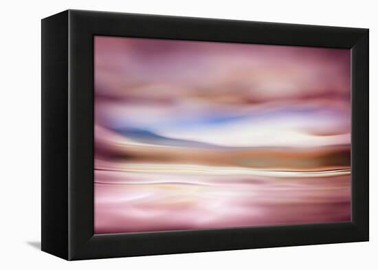 Rose Evening-Ursula Abresch-Framed Premier Image Canvas