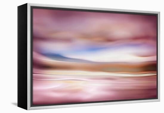 Rose Evening-Ursula Abresch-Framed Premier Image Canvas