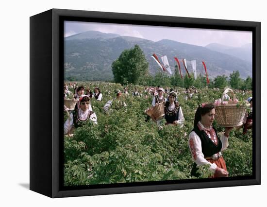 Rose Festival, Bulgaria-Adam Woolfitt-Framed Premier Image Canvas